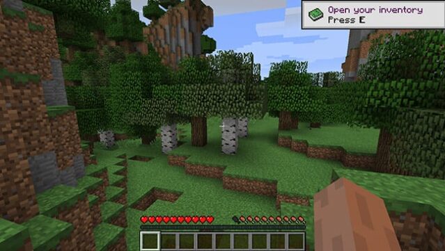 Minecraft Gameplay Screenshot