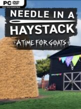 Needle In A Haystack – A Time For Goats Free Download